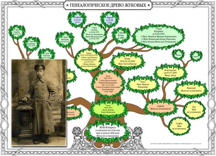Генеалогическое древо шереметьевых схема